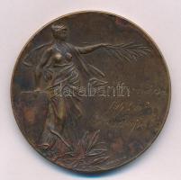 1941. "Nagykanizsa a Zrínyiek városa / Nagykanizsa 1941. évi lövészbajnoka" Br emlékérem, ...