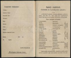 cca 1850 Pest-Solt megye cselédkönyv, kitöltetlen