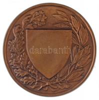 Berán Lajos (1882-1943) ~1930. "Országos Testnevelési Tanács" Br emlékérem (60mm) T:2