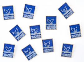 Lengyelország ~1970-1980. NIGDY WIECEJ TREBLINKI koncentrációs tábor műanyag emlékjelvénye (11x) T:1- Poland ~1970-1980. NIGDY WIECEJ TREBLINKI Concentration Camp plastic commemorative badge (11x) C:AU