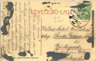 1911 Temesvár, Timisoara; Hunyadi út, Délvidéki Kaszinó / street, casino (ragasztónyom / gluemark)