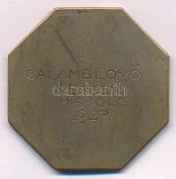 Matéka Sándor (1890-1971) 1925. "M. Kir. 7. Honv. Vadász dandár versenydíja / Galamblövő versen...