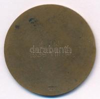 1939. "Hungária Yacht Club / II. díj 1939. VIII. 13." Br sport emlékérem, "BERÁN N BP...