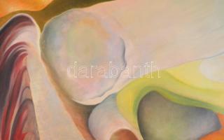 Jelzés nélkül: Túl a felhőkön. Olaj, vászon, sérült, műanyag keretben, 80×110 cm