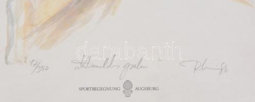 Olvashatatlan jelzéssel: Augsburgi látkép. Litográfia, papír, számozott (17/350), üvegezett keretben...