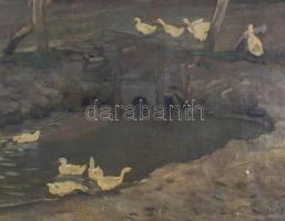 Gulyás S jelzéssel: Libák. Olaj, vászon, sérült, fa keretben, 55,5x65 cm