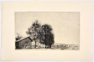 Boldizsár István (1897-1984): Balaton. Rézkarc, papír, hátoldalán hagyatéki pecséttel. 15,5x29 cm