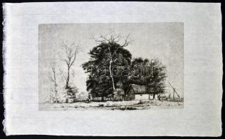 Boldizsár István (1897-1984): Tanya gémeskúttal. Rézkarc, papír, hátoldalán hagyatéki pecséttel. 17,...