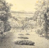 Olvashatatlan jelzéssel: Tisztás. Grafit, papír, foltos, papírra kasírozva, 15,5x21 cm