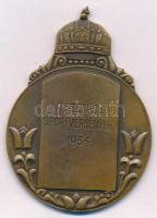 1934. "Intézetközi Sportversenyek" Br díjérem "Ludvig" gyártói jelzéssel (59x43m...