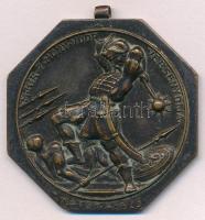 Matéka Sándor (1890-1971) 1925. "M. Kir. 7. Honv. Vadász dandár versenydíja" Br díjérem füllel (42mm) T:2