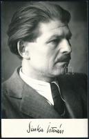 cca 1960 Sinka István (1897-1969) költő, író fotója, rajta nyomtatott aláírással, hátoldalon pecséttel jelzett, 14×9 cm