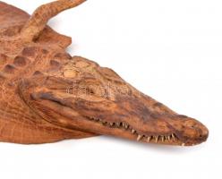Régi. kikészített krokodilbőr 110 cm