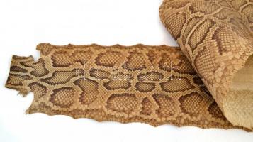 Régi. óriáskígyó bőr kikészítve. 293 cm