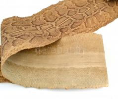 Régi. óriáskígyó bőr kikészítve. 293 cm