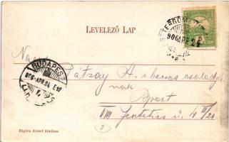 1906 Piliscsaba, látkép. Rigócz József kiadása