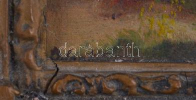 Olvashatatlan jelzéssel: Libapásztor lány. Olaj, karton, sérült keretben, 18,5×24,5 cm