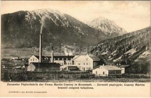 Zernest, Zernyest, Zarnesti; Papírgyár. Copony Márton brassói cégének tulajdona. Lichtdruck v. Jos. Drotleff / Zernester Papierfabrik der Firma Martin Copony in Kronstadt / paper mill, paper factory