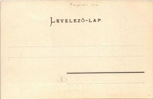 Zernest, Zernyest, Zarnesti; Papírgyár. Copony Márton brassói cégének tulajdona. Lichtdruck v. Jos. ...