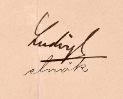 1909 Magyar Királyi Államvasutak fejléces levél Dr. Rottmann Elemér orvosnak, bélyegzéssel, aláíráso...