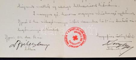 1914 Budapest X. Kerületi Városi Vörös Kereszt Választmány fejléces levél Dr. Rottmann Elemér orvosn...