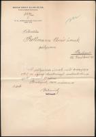 1909 Magyar Királyi Államvasutak fejléces levél Dr. Rottmann Elemér orvosnak, aláírással