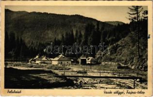 1941 Felsővisó, Viseu de Sus; Vasér völgye, Fajna telep / Vaser valley