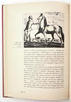 Szepesi Attila: Az elsüllyedt várkastély. Barangolás a magyar múltban Pázmány Pétertől Hamvas Béláig...