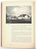 Szepesi Attila: Az elsüllyedt várkastély. Barangolás a magyar múltban Pázmány Pétertől Hamvas Béláig...