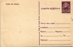 Busteni, paper mill, factory (EK)