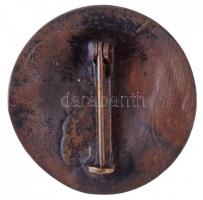 Szántó Gergely (1886-1962) DN "Gróf Széchenyi István 1791-1860" Br jelvény (26mm) T:1-