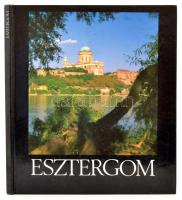Filep István: Esztergom. Dr. Nagy Zoltán bevezetőjével. Bp.,1989., MTI. Magyar, német és angol nyelven. Kiadói kartonált papírkötés.