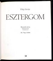 Filep István: Esztergom. Dr. Nagy Zoltán bevezetőjével. Bp.,1989., MTI. Magyar, német és angol nyelv...
