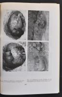 Bóna István-Novák Gyula: Alpár bronzkori és Árpád-kori vára. Cumania VII. Archaeologia. Kecskemét, 1...