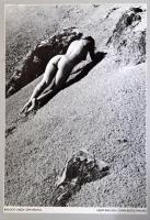 1984 Akt-mappa 1984. Vál. Győri Lajos. Bp., Ofotért. Számos aktkép papír mappában. Komplett!