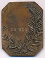 DN Festőt ábrázoló kétoldalas, vert Br plakett. Szign.: Gál (51x38mm) T:1-