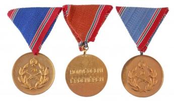 1983. "Szolgálati Érdemérem - Honvédelmi Érdemérem" 10, 15 és 20 év után, aranyozott Br ki...