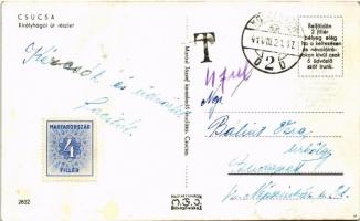 1941 Csucsa, Ciucea; Királyhágói út, automobil. Marosi József kiadása / road, automobile