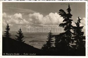 1942 Hargitafürdő, Hargita-fürdő, Harghita-Bai; Csíki részlet / general view (EK)