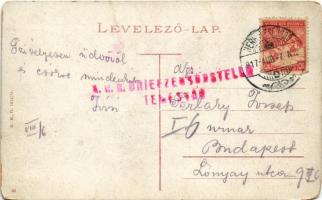 1917 Herkulesfürdő, Herkulesbad, Baile Herculane; Érkezéskor és induláskor, humoros lap pénztárcával...