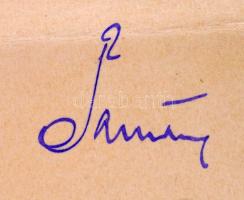 1904 Erdészjelölt 3. fizetési osztályába szóló kinevezése, Franciscy Vilmos m. kir. erdőgyakornok, S...