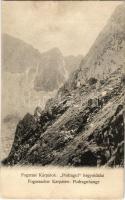 1908 Fogarasi-havasok (Fogarasi Kárpátok), Fogarascher Karpathen, Muntii Fagarasului; Podragul hegyoldalai / Podraguhänge / mountain (EK)