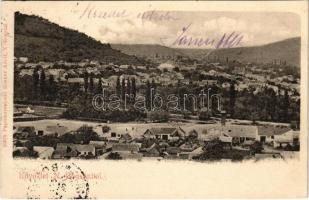 1901 Boksánbánya, Németbogsán, Deutsch-Bogsan, Bocsa Montana; látkép. Rosner Adolf kiadása / general view