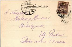 1901 Boksánbánya, Németbogsán, Deutsch-Bogsan, Bocsa Montana; látkép. Rosner Adolf kiadása / general...