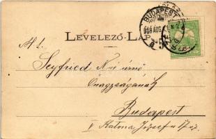 Borszék, Borsec; látkép, nyaraló / general view, villa (EK)