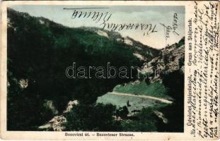 1903 Stájerlak, Stájerlakanina, Steierdorf (Anina); Bozovicsi út. Hollschütz F. kiadása / Bozovicser Strasse / road to Staier-Bozovici (EK)