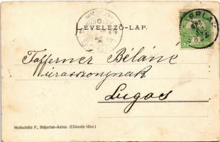 1903 Stájerlak, Stájerlakanina, Steierdorf (Anina); Bozovicsi út. Hollschütz F. kiadása / Bozovicser...