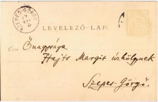 1899 Arad, A 13 vértanú szobra. Nyomta Bloch H. 11. sz. / Martyrs' statue, monument (r)