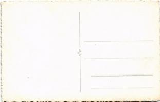 Ismeretlen település, Fazakas Imre turistaház. photo