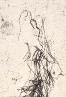 Olvashatatlan jelzéssel (Sabina Fr...?), 3 db grafikai mű: 3 db hidegtű, papír, számozott. Egyik cer...